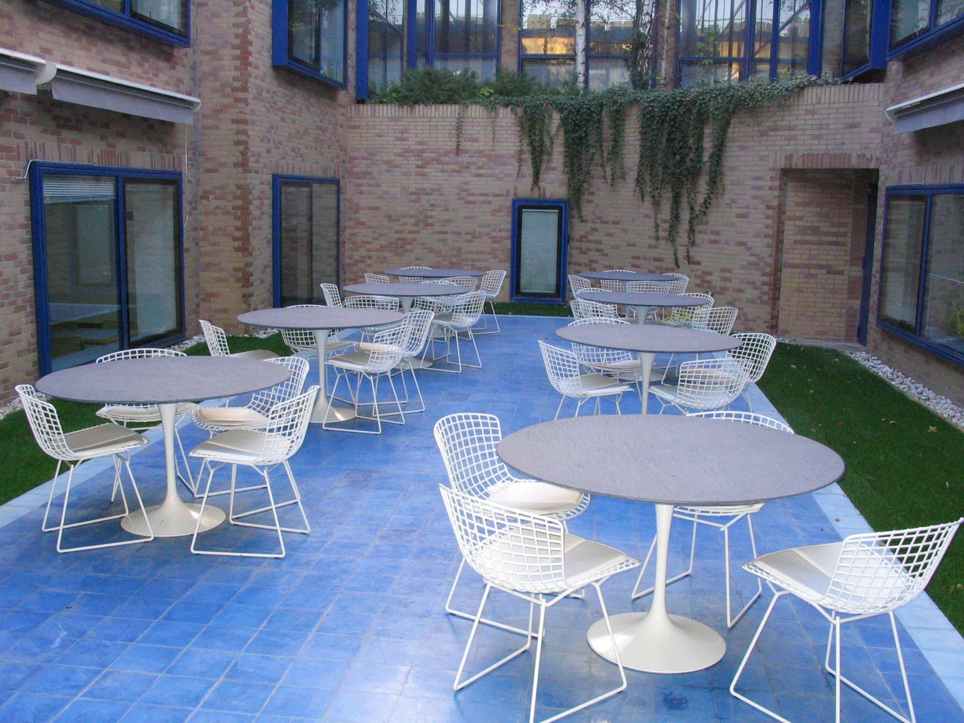 Bertoia Side Chair Outdoor in white