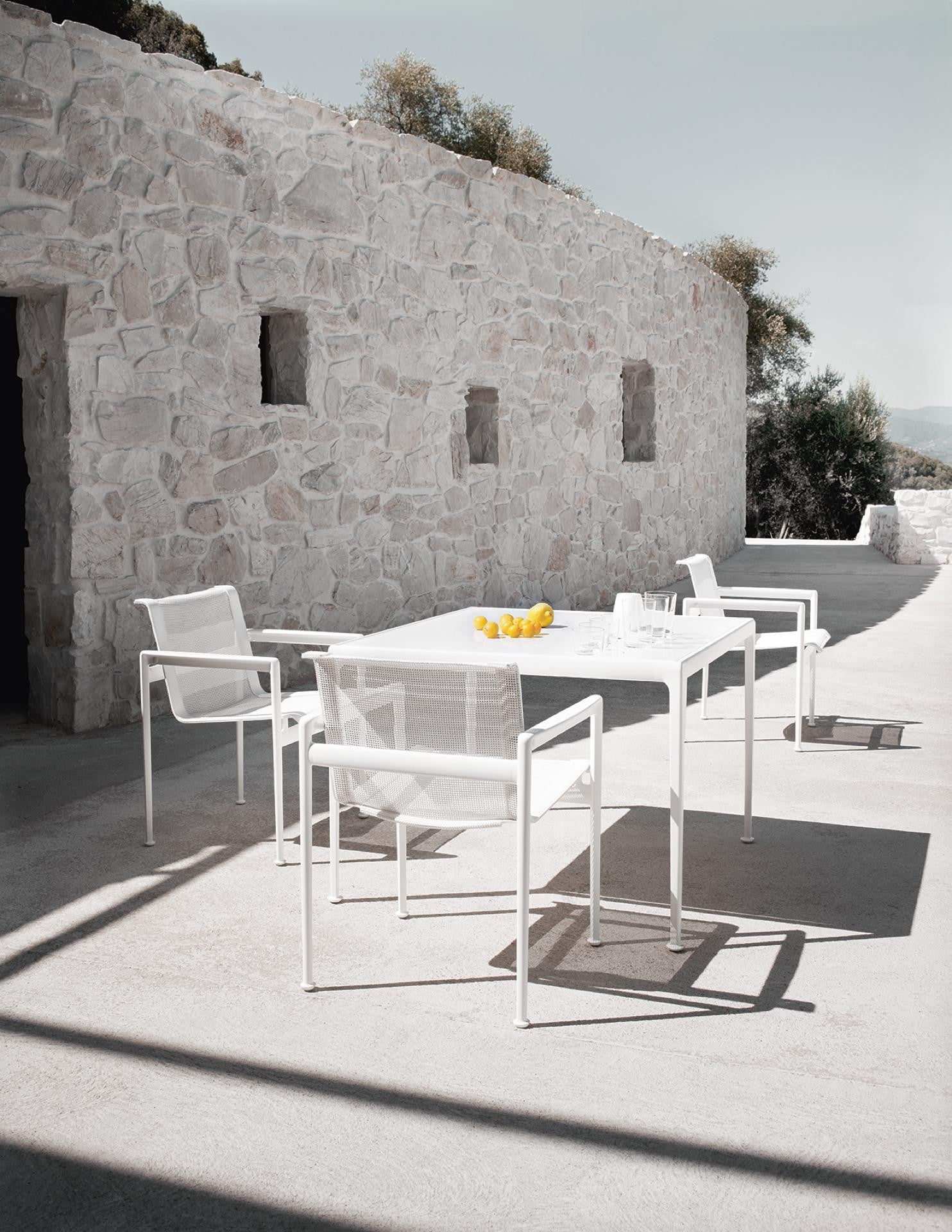 Schultz 1966 Dining Chair with Arms