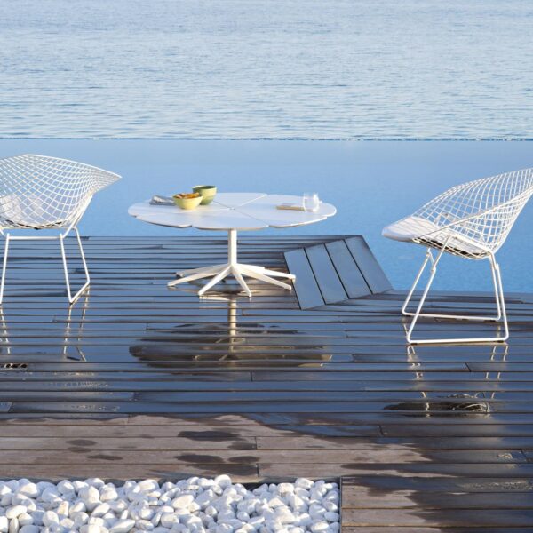 Schultz Petal Coffee Table