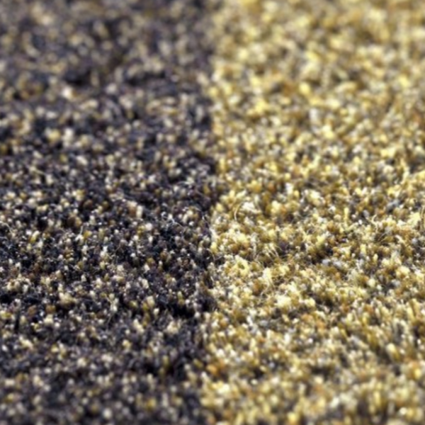 Carpet Sign Lilain Rug, yellow and darker colours