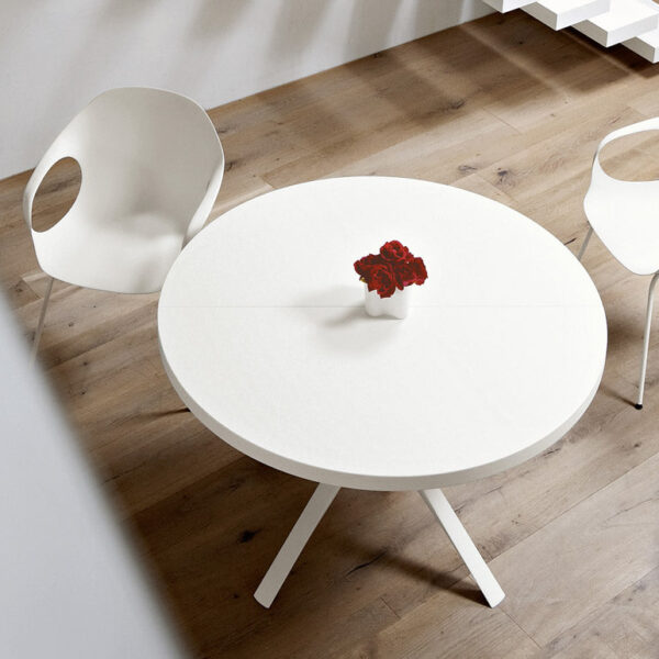 Elephant chair