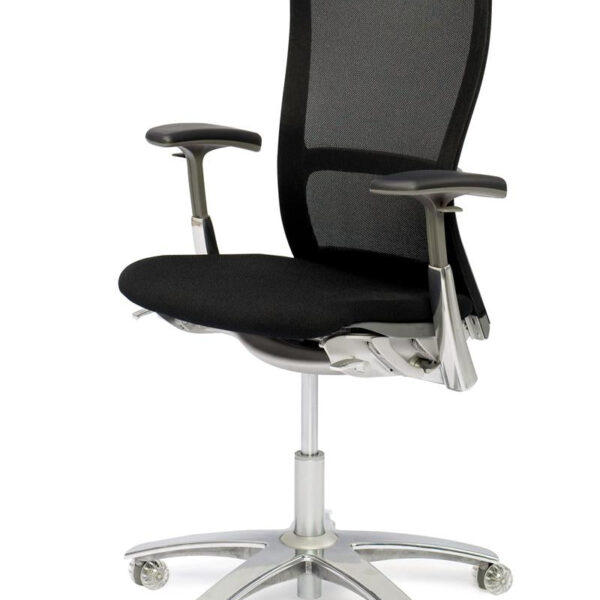 Life Chair