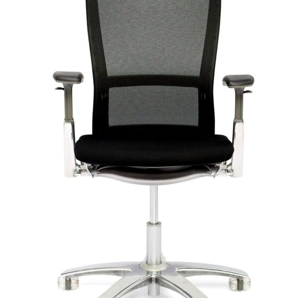 Life Chair