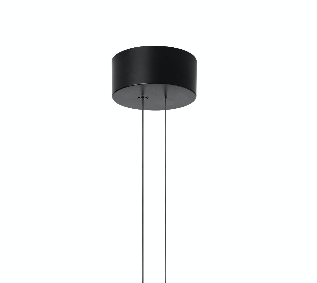 Ceiling Rose Ceiling Rose
