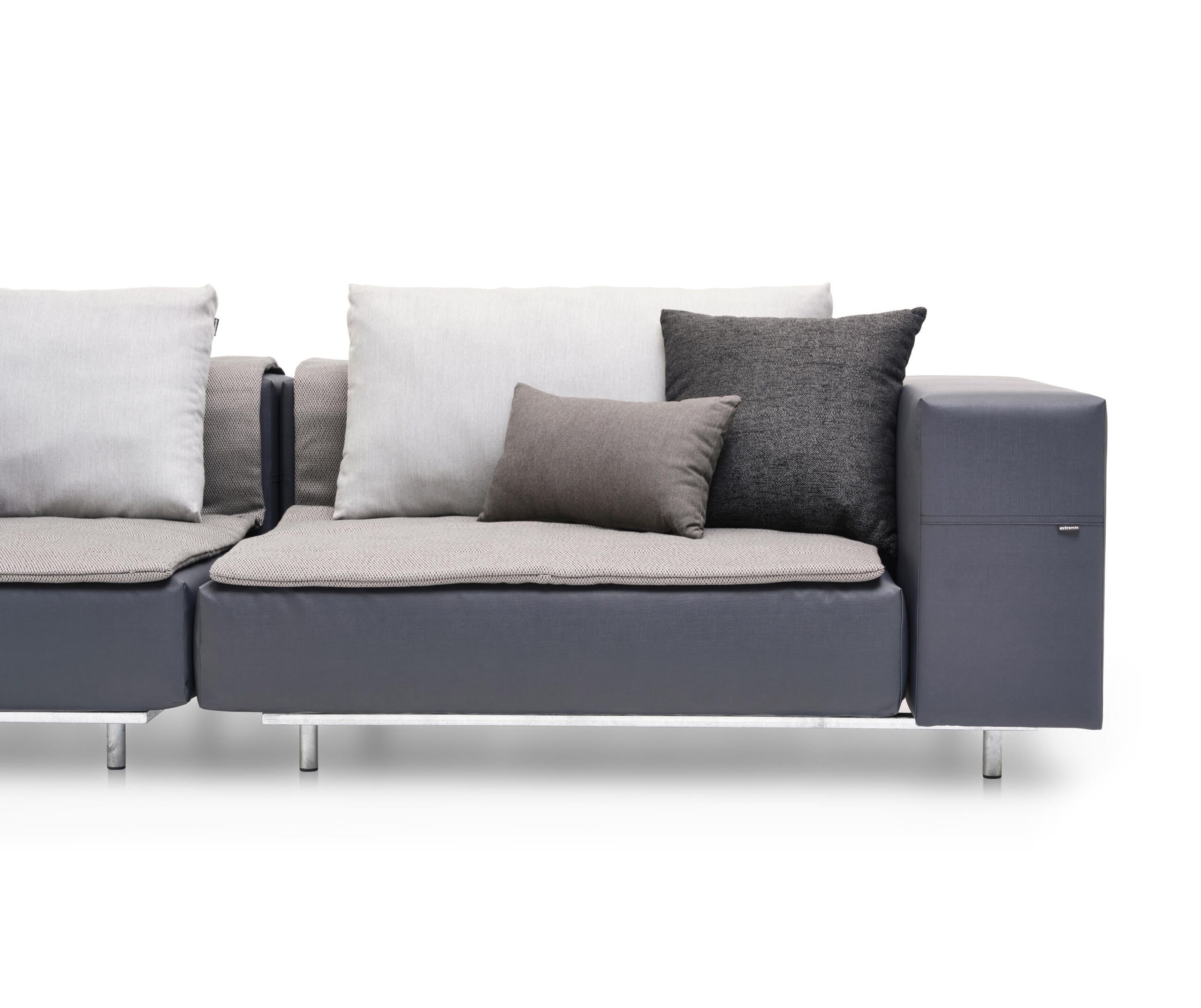 walrus--lovely-lounger walrus--lovely-lounger