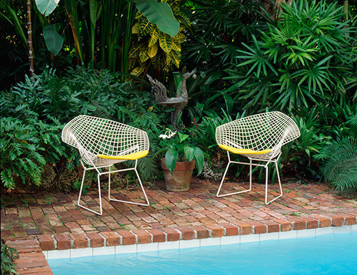 Bertoia Diamond Armchair