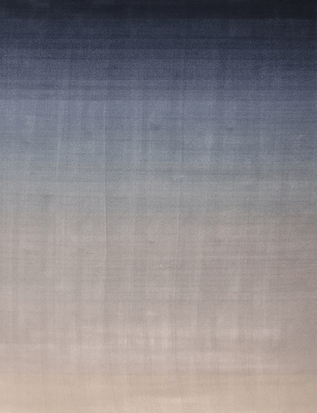 Fusion Collection Horizons Gradient Pigeon